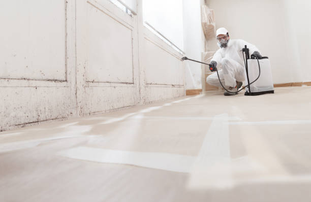 24/7 Emergency Mold Removal experts in New Braunfels, TX