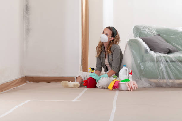 Reliable Mold Removal contractor in New Braunfels, TX by Mold Remediation HQ